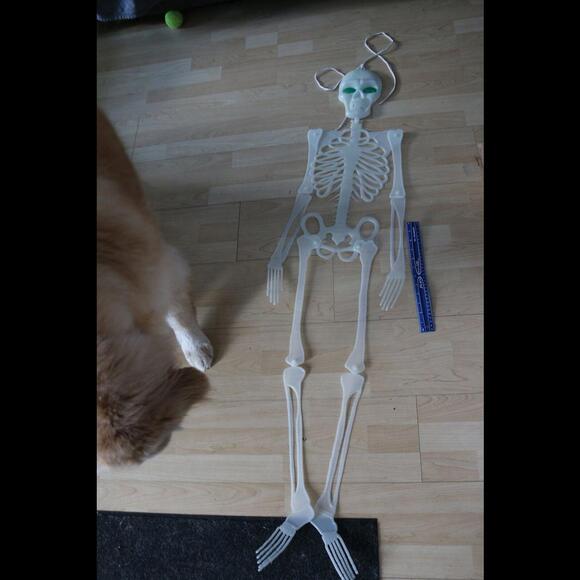Vintage Glow In The Dark 43" Flat Plastic Skeleton Spooky Halloween Decoration - Picture 9 of 9